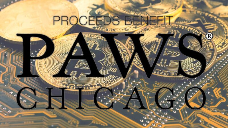 No-Kill Animal Organization PAWS Chicago Launches “Dogenations”, Accepting Crypto Donations