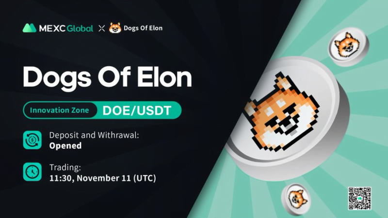 Ethereum co-founder Vitalik Buterin now owns 100K Dogs of Elon ($DOE) tokens