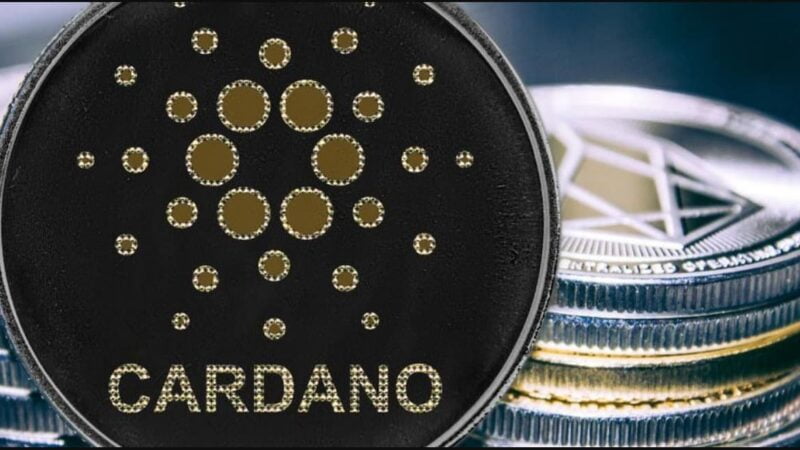 What potential does Cardano (ADA) have? 